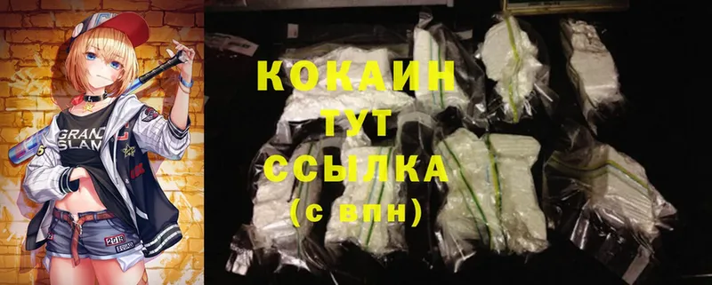 Cocaine Fish Scale  кракен зеркало  Ковдор 