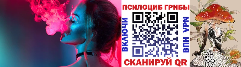 Псилоцибиновые грибы ЛСД  закладки  shop телеграм  Ковдор  hydra рабочий сайт 